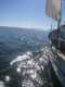 gal/New Boat/_thb_IMG_3835.jpg